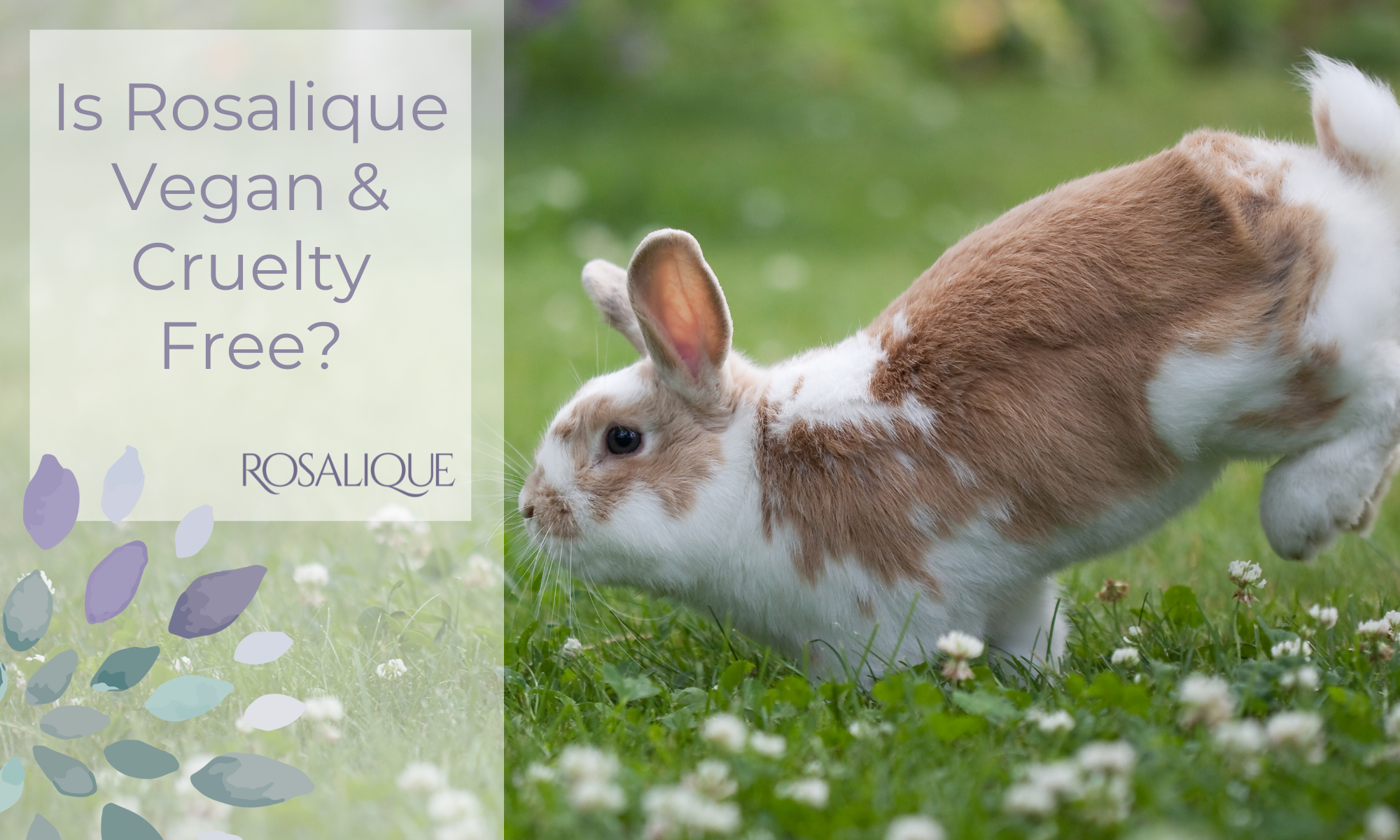 Is Rosalique Vegan & Cruelty Free?